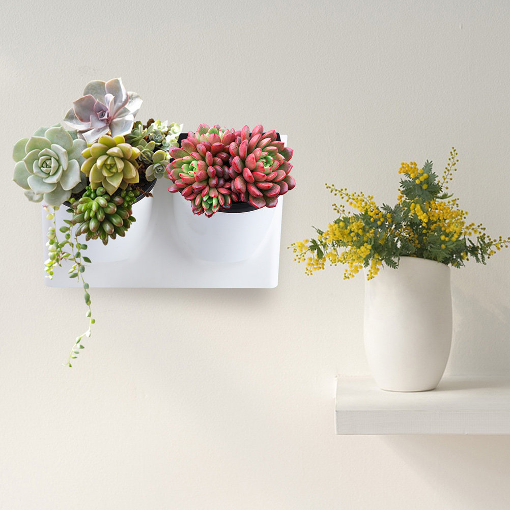 Self-Watering Planter - Maceta de Plástico con Autorriego para