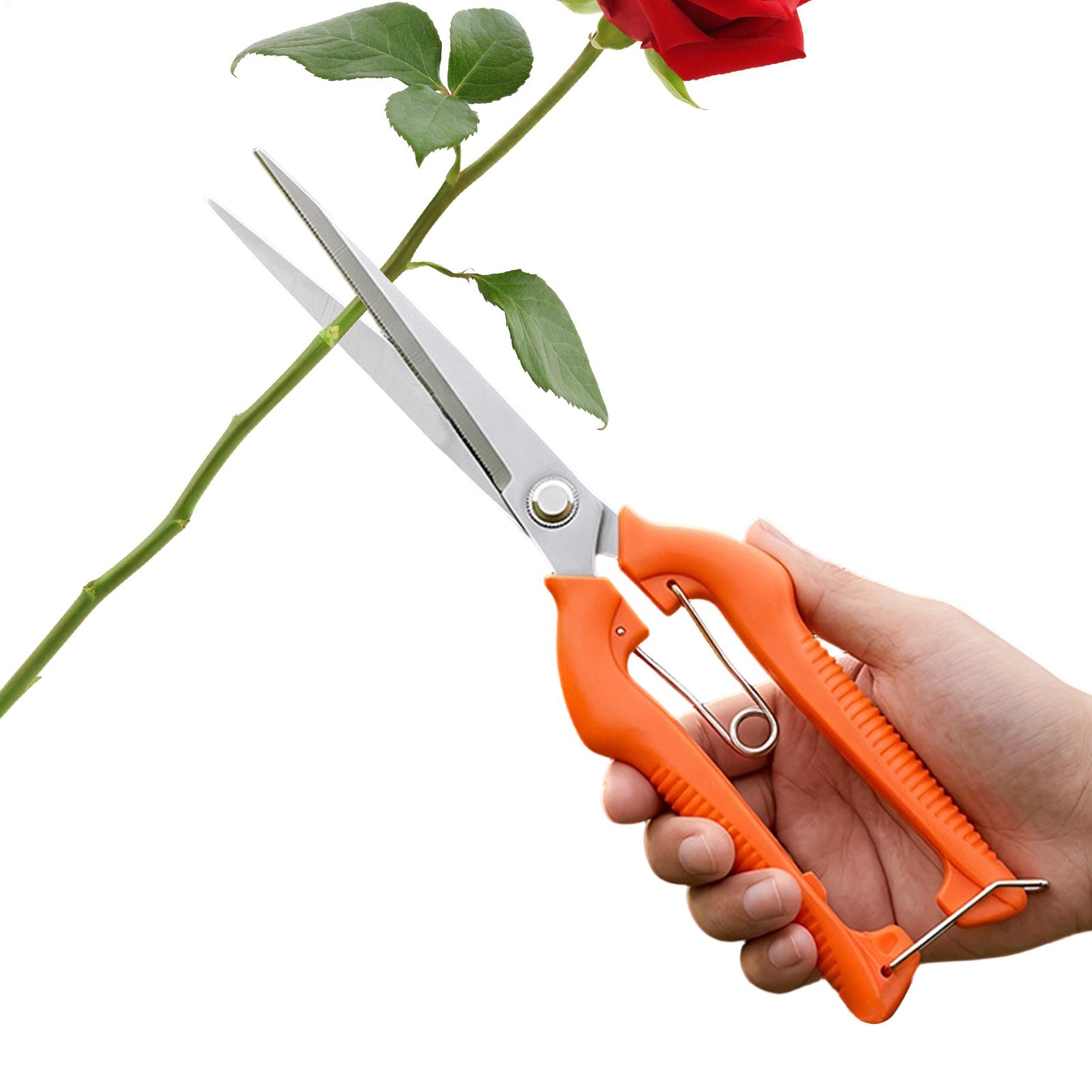Gardening Tools For Women - Tijeras de Podar, Tijeras para Uvas,