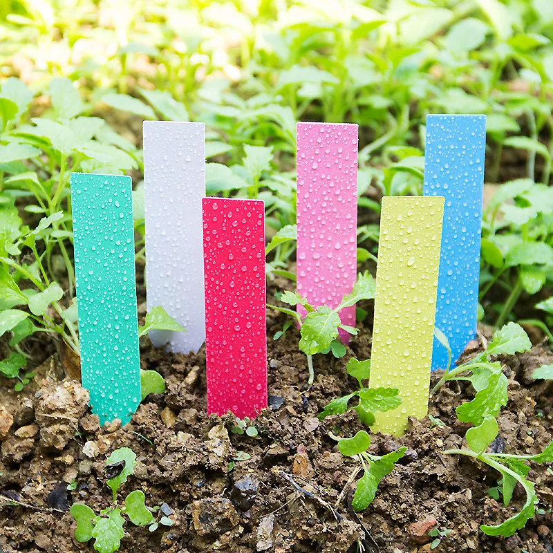 Garden Label Marker - Etiquetas de plástico reutilizables para plantas