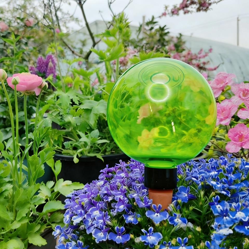 Self-Watering Planter - 3 Globos de Riego Automático para