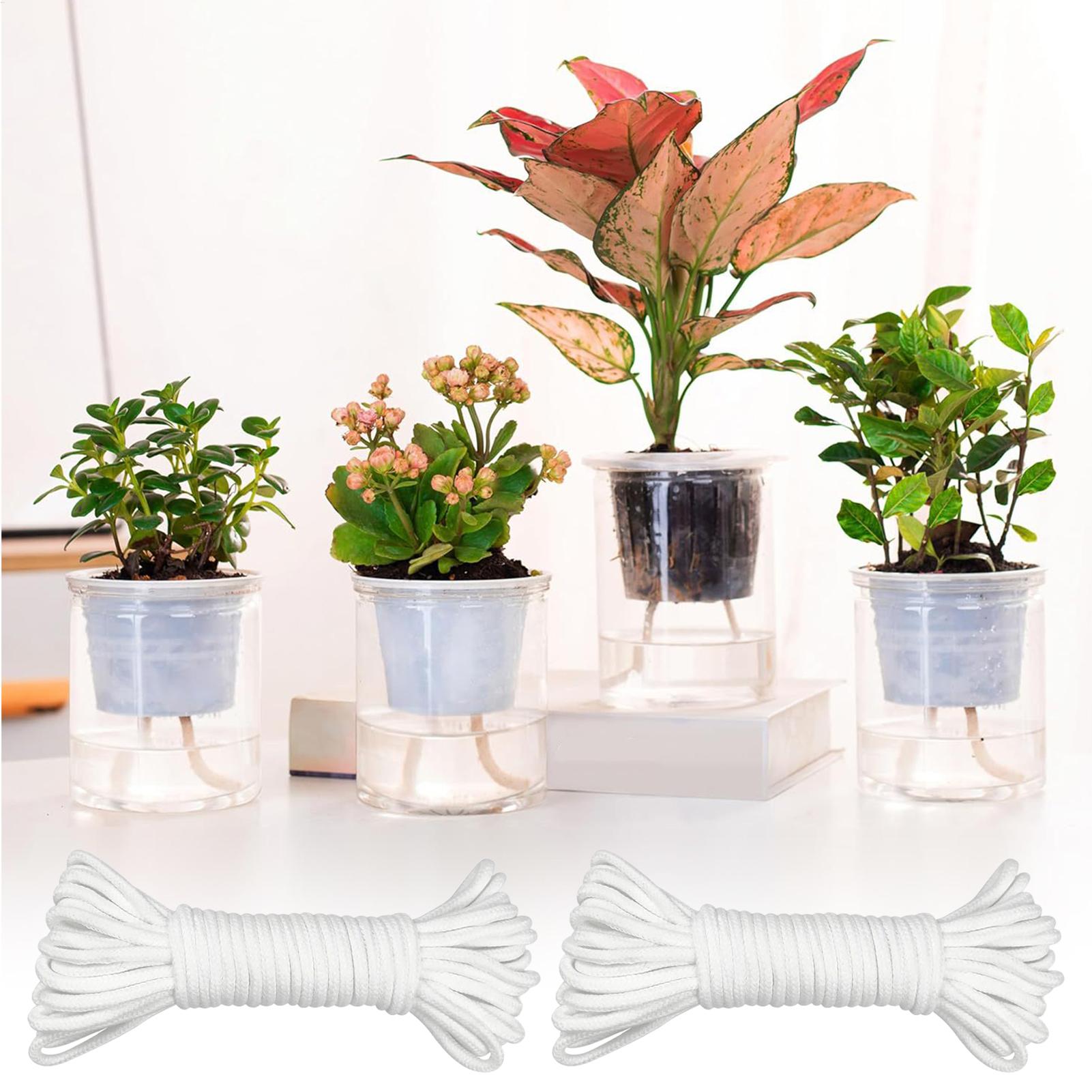 Cuerdas de riego automático pa - Self-Watering Planter reseña y precio