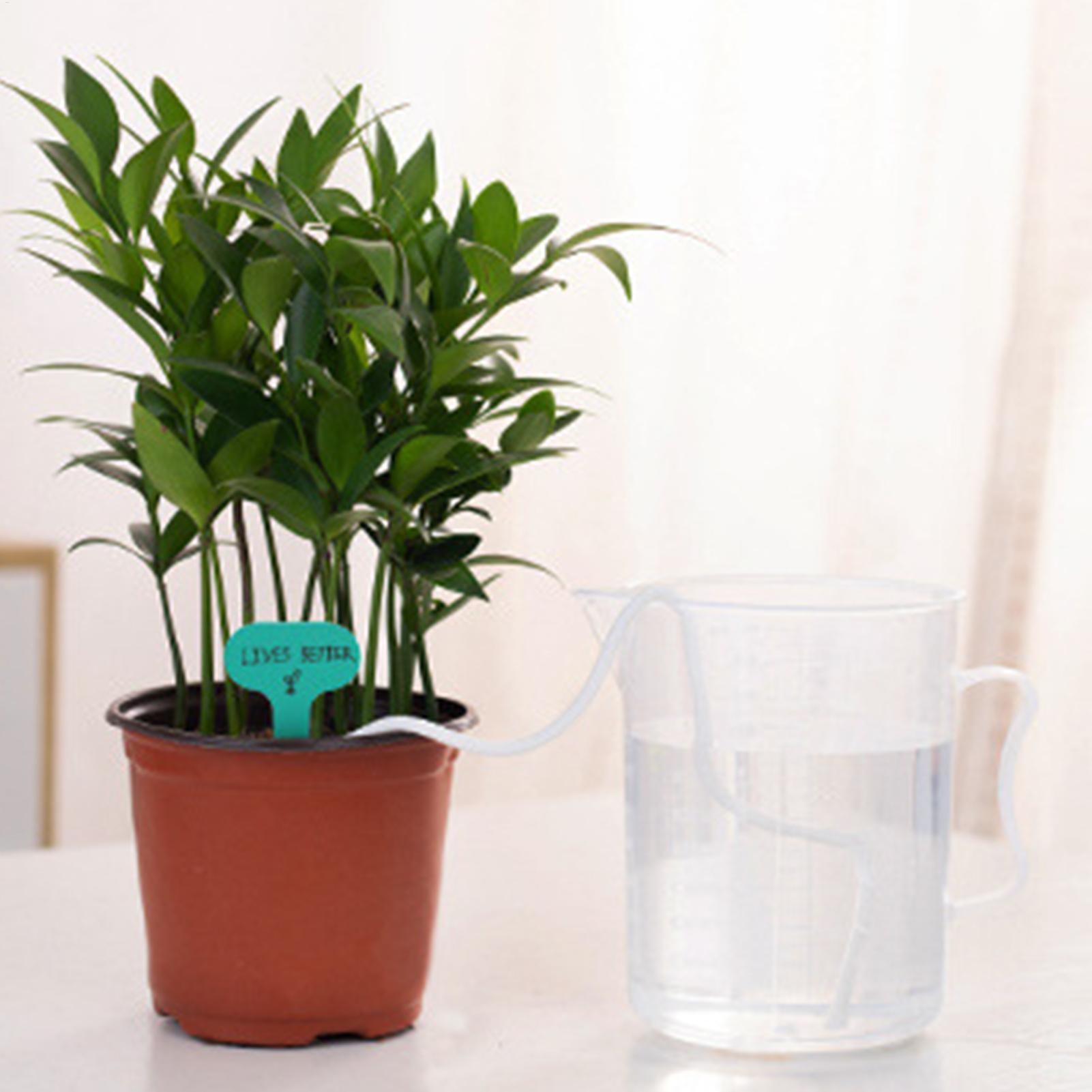Cuerdas de riego automático pa - Self-Watering Planter reseña y precio