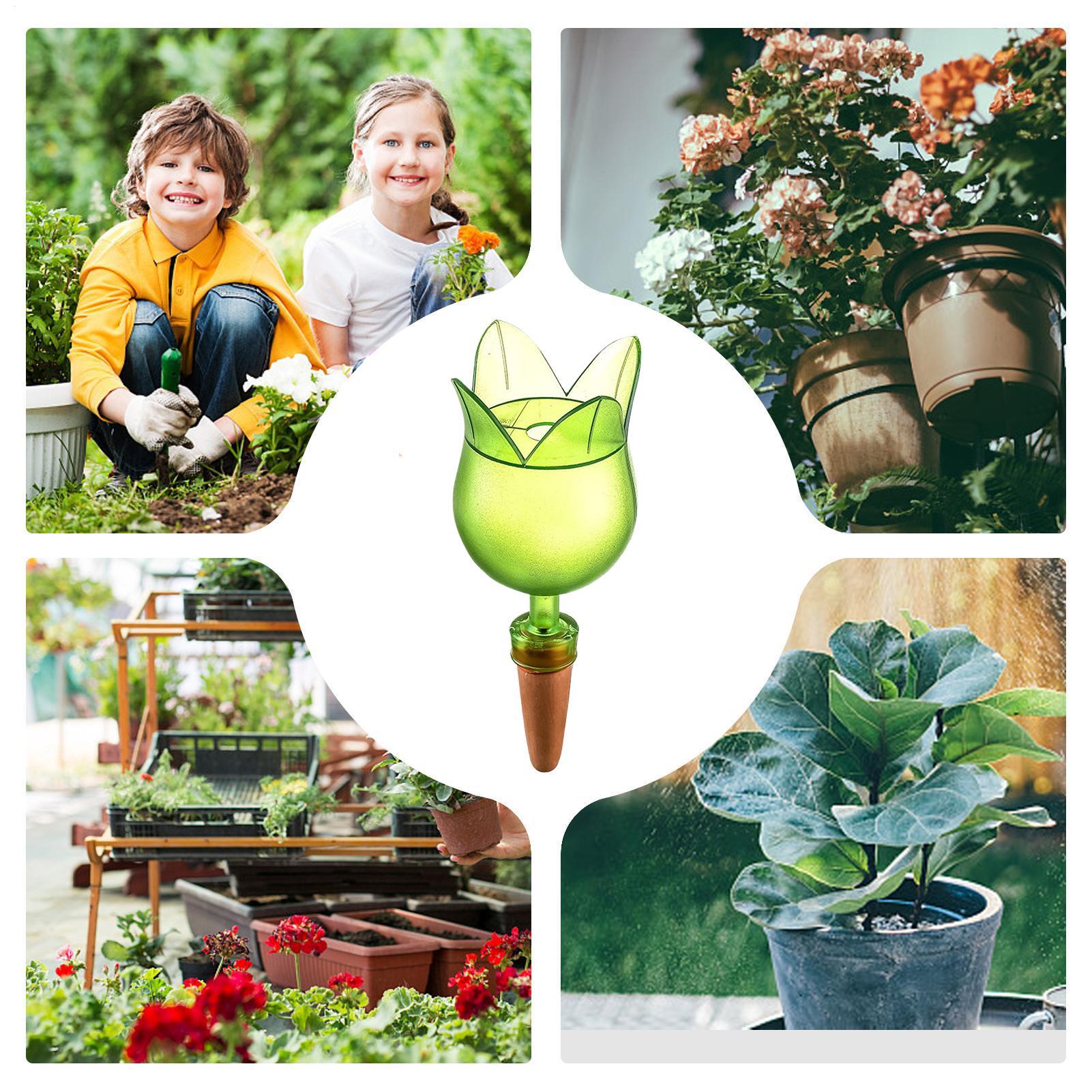 Dispositivos de autorriego par - Self-Watering Planter reseña y precio