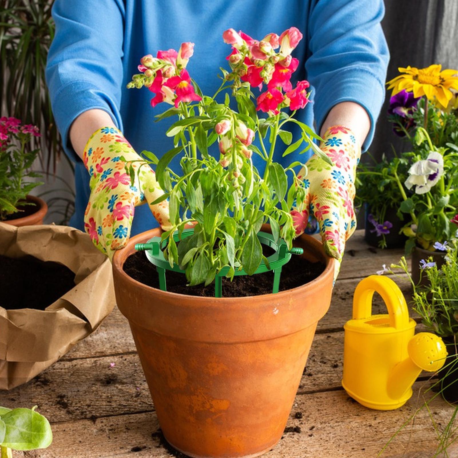 Anillo de riego para plantas,  - Gardening Tools Target reseña y precio