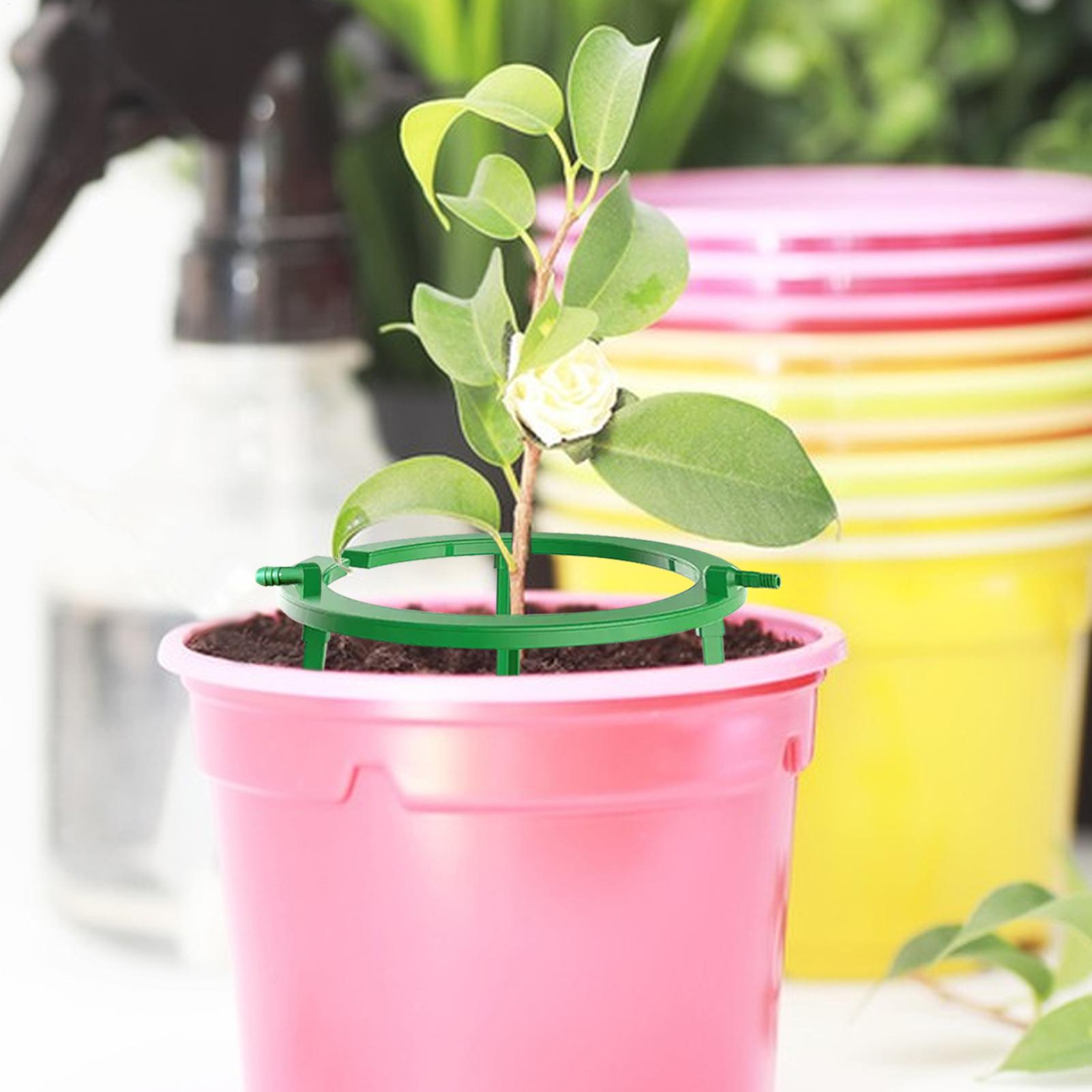 Anillo de riego para plantas,  - Gardening Tools Target reseña y precio
