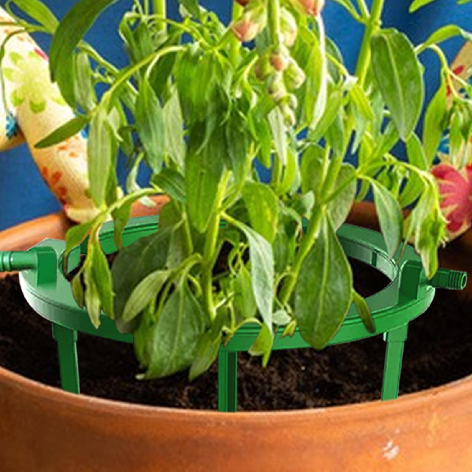 Anillo de riego para plantas,  - Gardening Tools Target reseña y precio