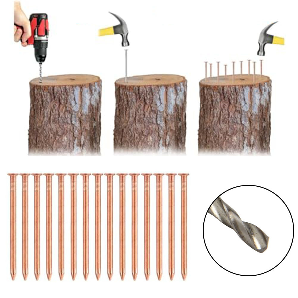 Clavos de cobre macizo de 2 pu - Gardening Tools Target reseña y precio