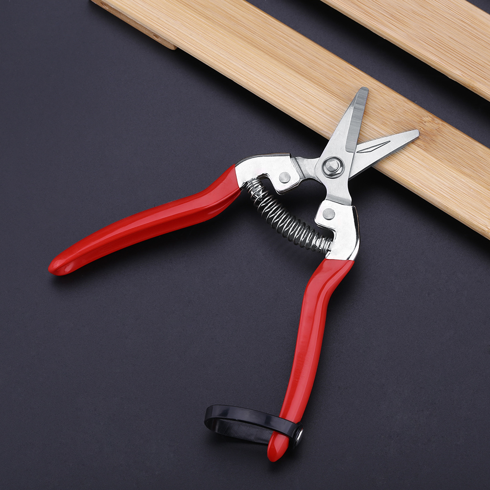Tijeras de podar resistentes p - Gardening Tools For Women reseña y precio