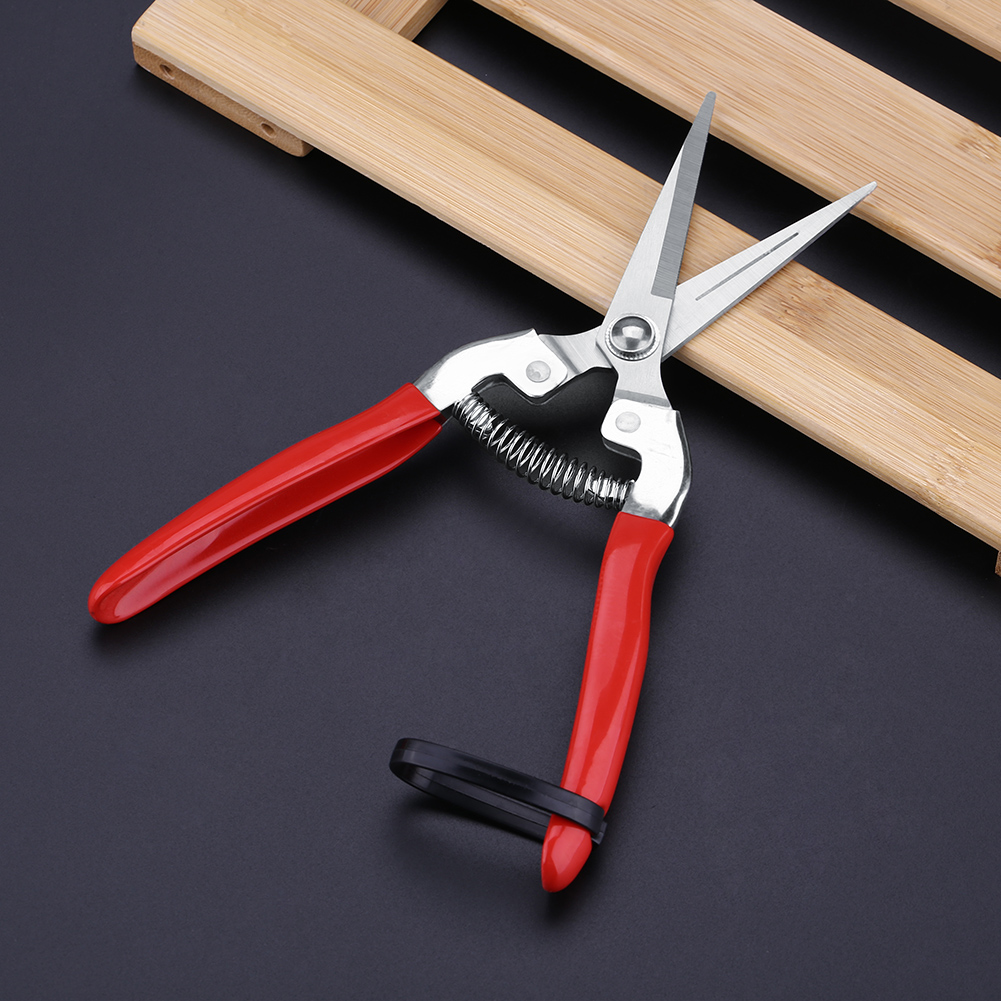 Tijeras de podar resistentes p - Gardening Tools For Women reseña y precio