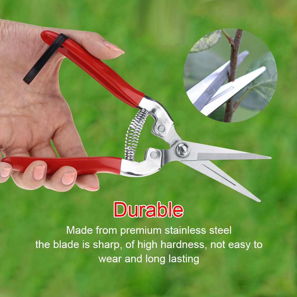 Tijeras de podar resistentes p - Gardening Tools For Women reseña y precio
