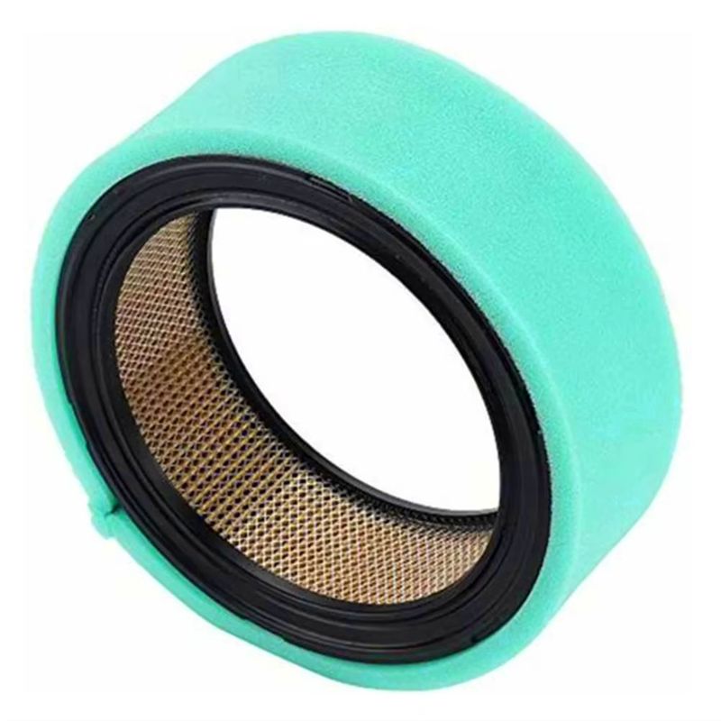 Filtro de aire imprescindible  - Gardening Tools Must Haves reseña y precio