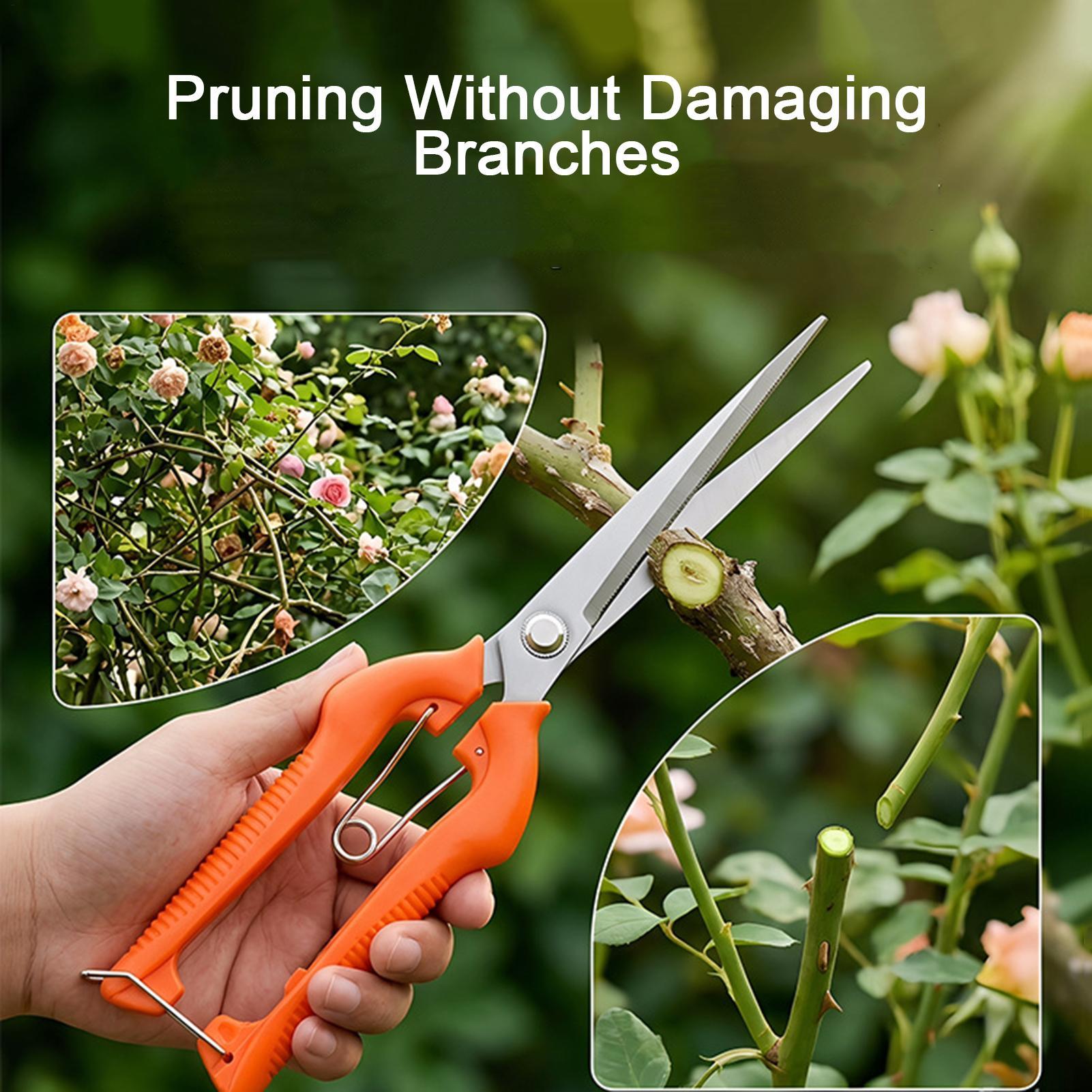 Tijeras de Podar, Tijeras para - Gardening Tools For Women reseña y precio