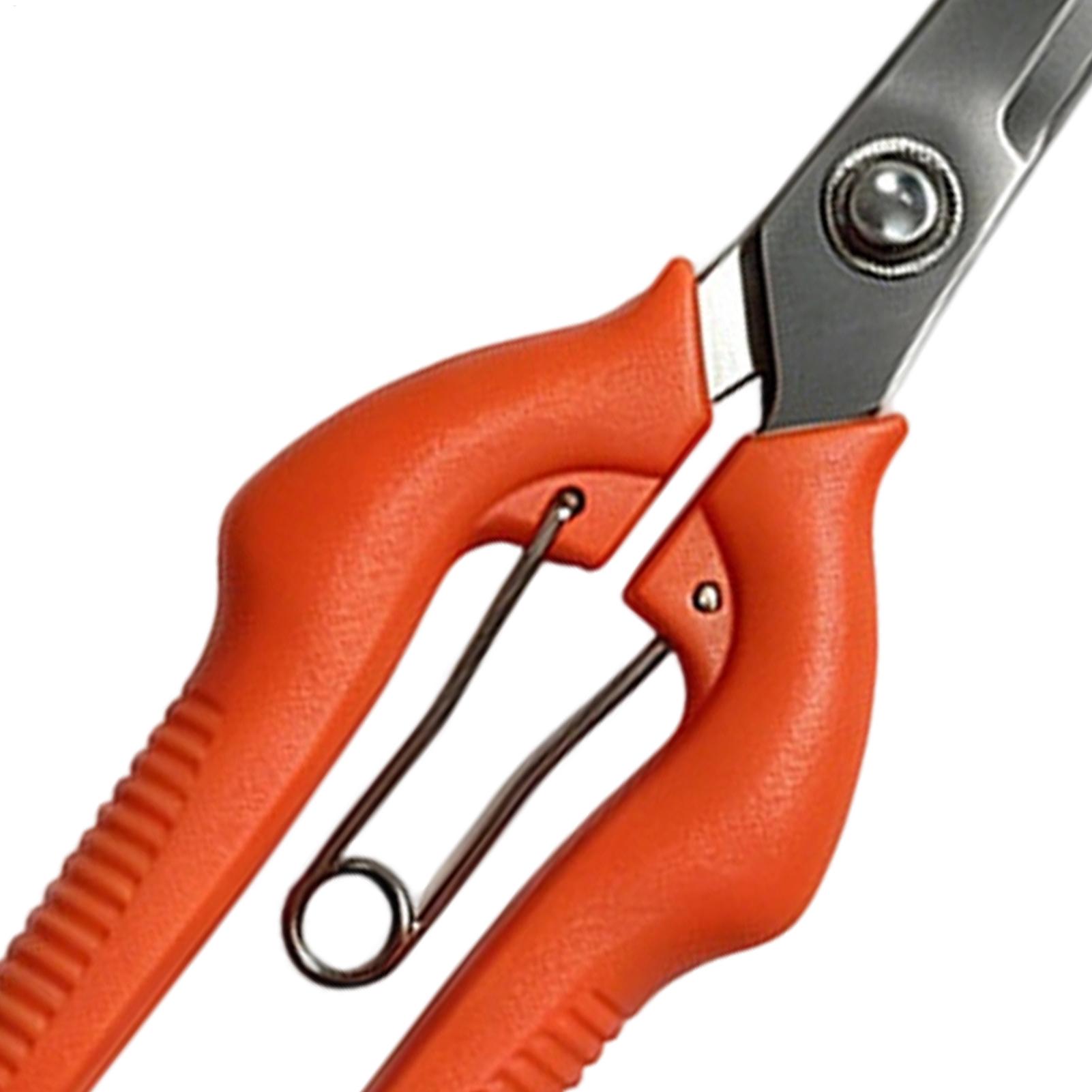 Tijeras de Podar, Tijeras para - Gardening Tools For Women reseña y precio