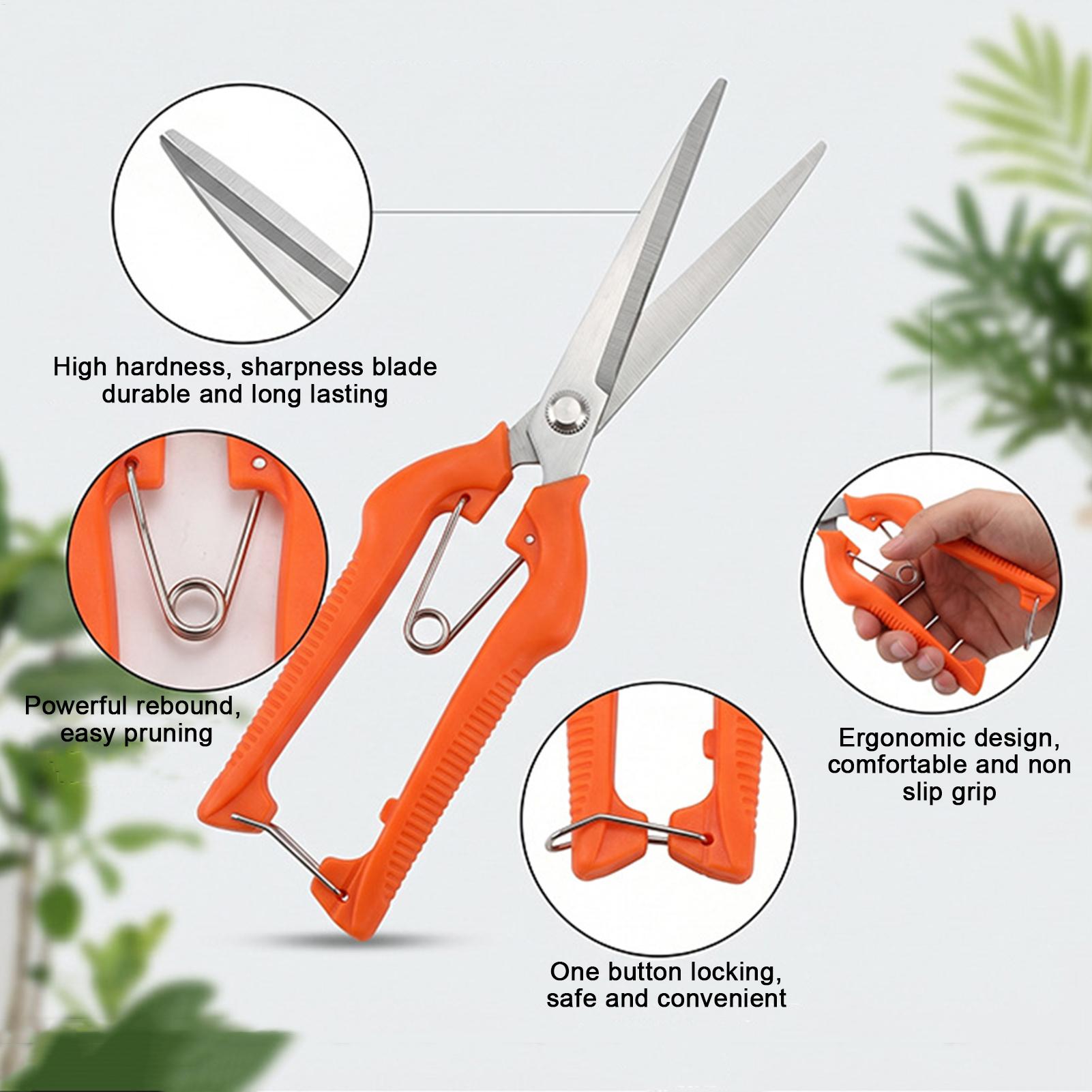 Tijeras de Podar, Tijeras para - Gardening Tools For Women reseña y precio