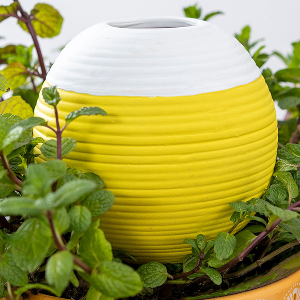 Herramienta de riego automátic - Gardening Tools Must Haves reseña y precio