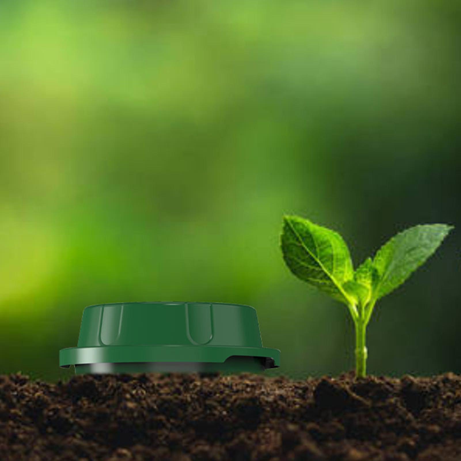 Compostador de gusanos enterra - Compost Bin reseña y precio