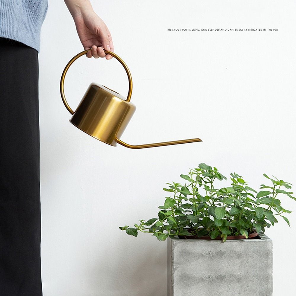 U-hervidor de agua para planta - Gardening Tools High Quality reseña y precio
