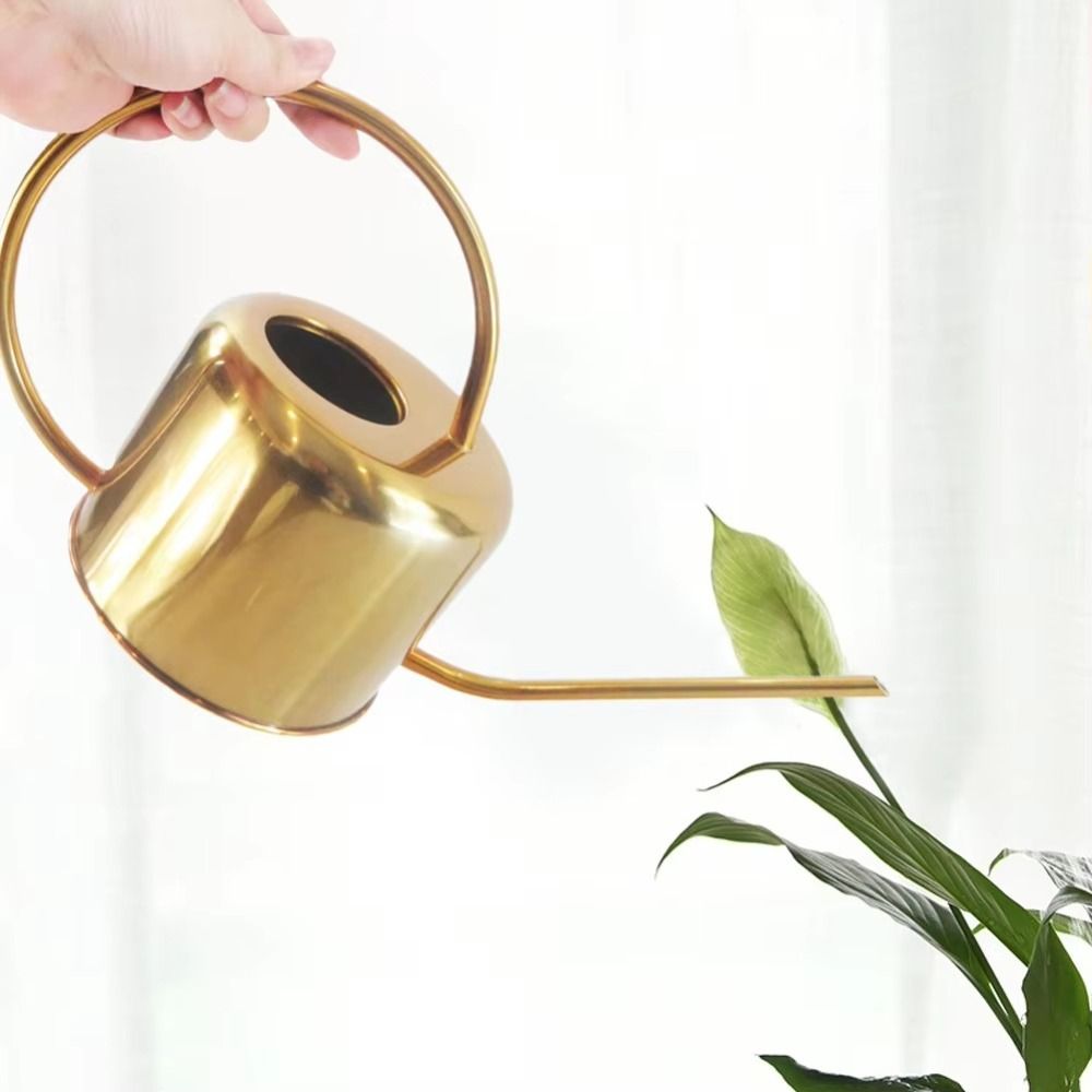 U-hervidor de agua para planta - Gardening Tools High Quality reseña y precio