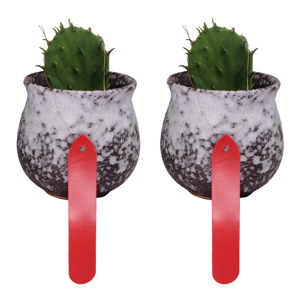 Etiquetas para plantas con agu - Garden Label Marker reseña y precio