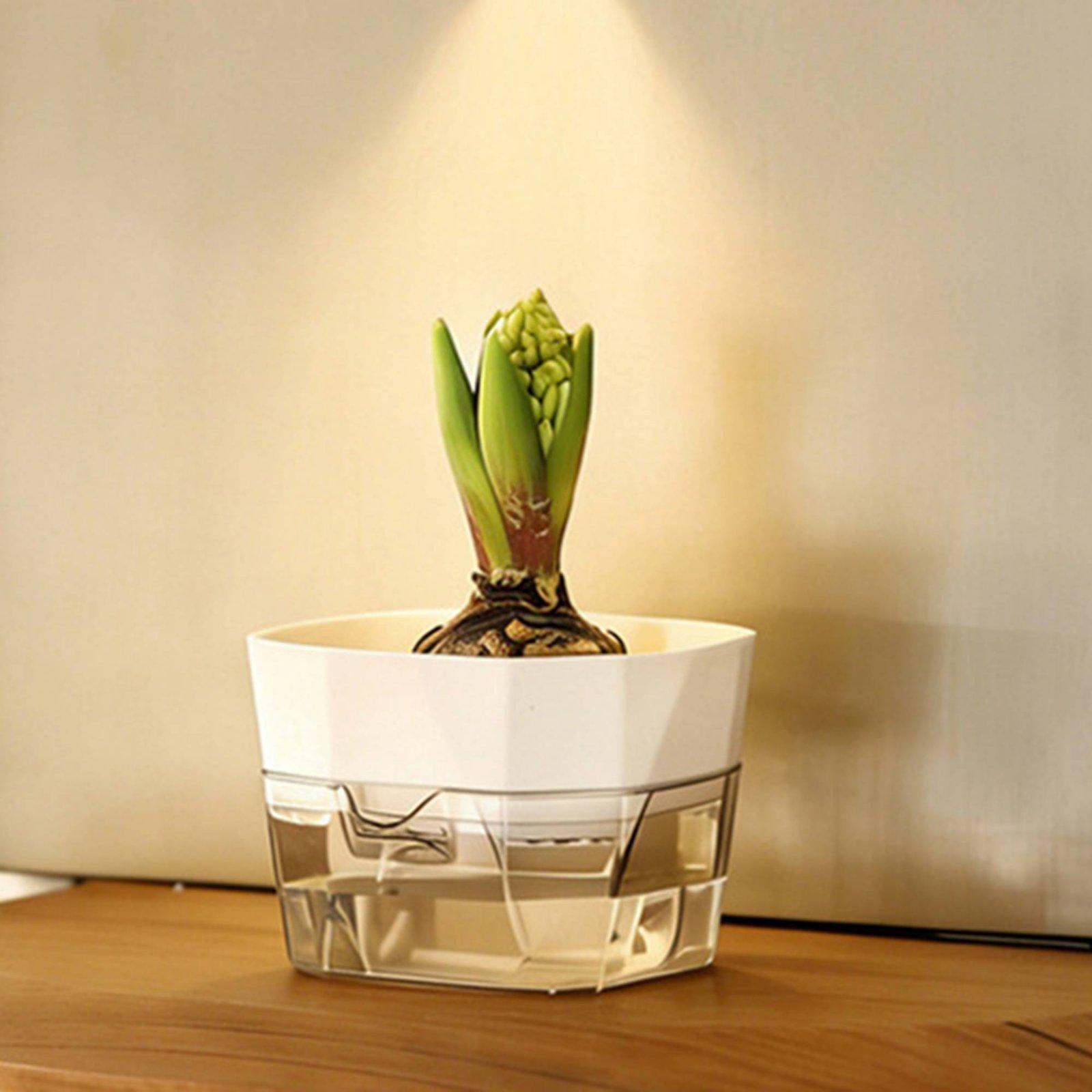 Jarrón Hidropónico de Dos Capa - Self-Watering Planter reseña y precio