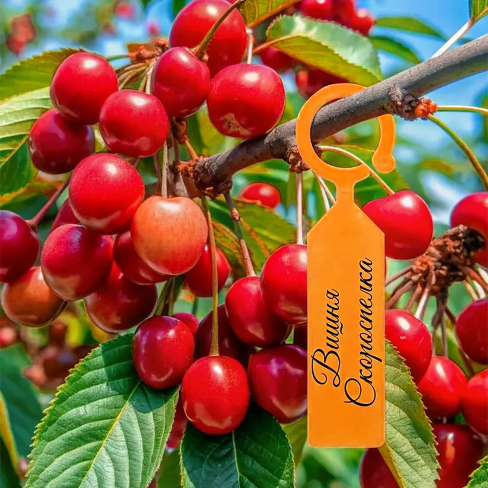 Etiquetas de Jardín con Anillo - Garden Label Marker reseña y precio