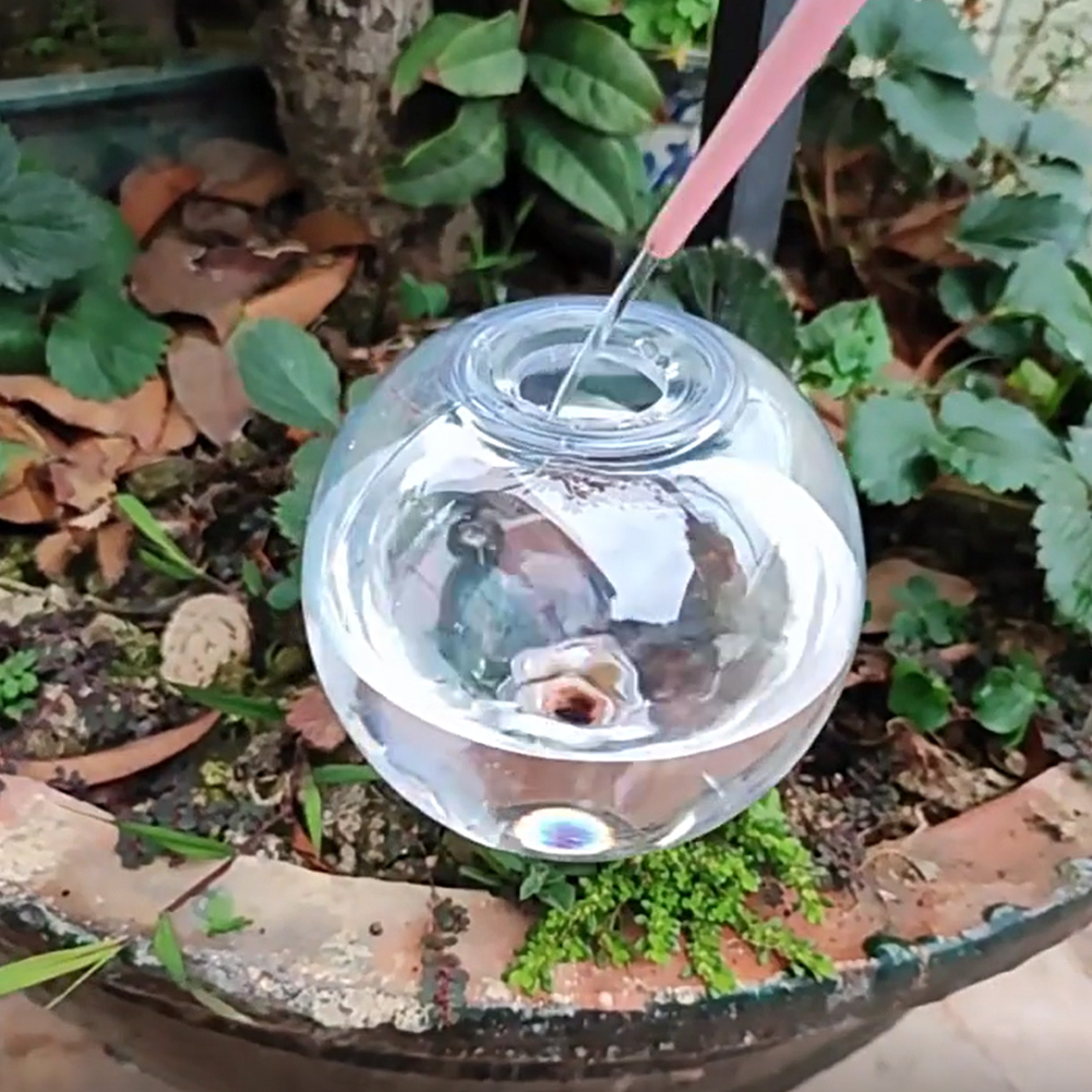 Globos de Riego Automático de  - Self-Watering Planter reseña y precio
