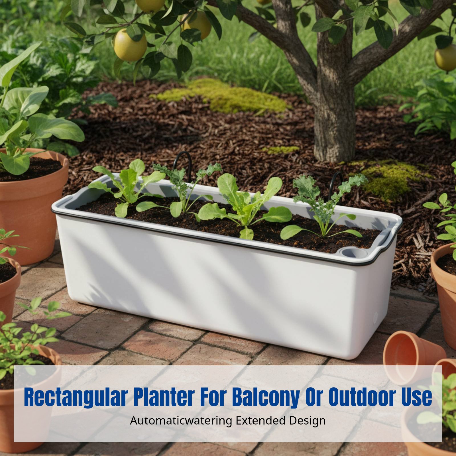 Maceta Colgante Rectangular pa - Self-Watering Planter reseña y precio