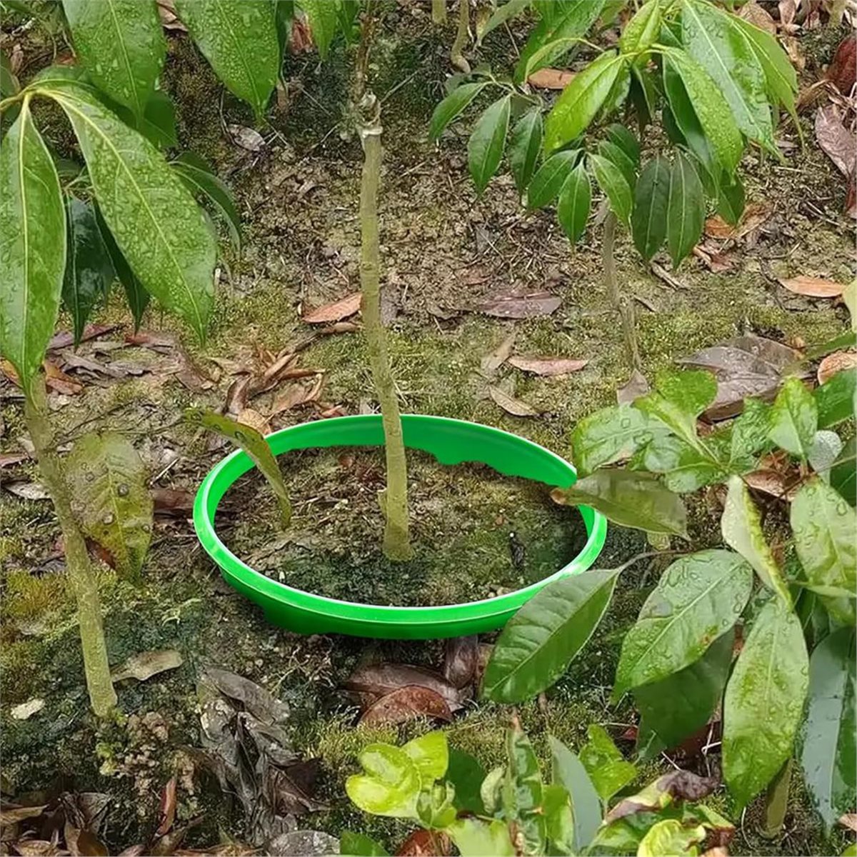 Gran Descuento: 4 Anillos Prot - Gardening Tools Big reseña y precio