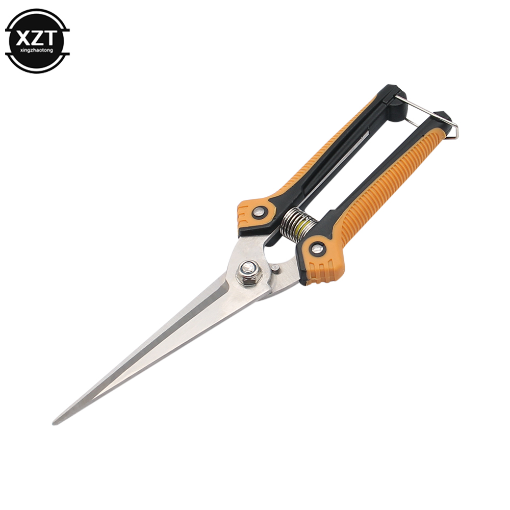 Tijeras de podar profesionales - Gardening Tools For Women reseña y precio