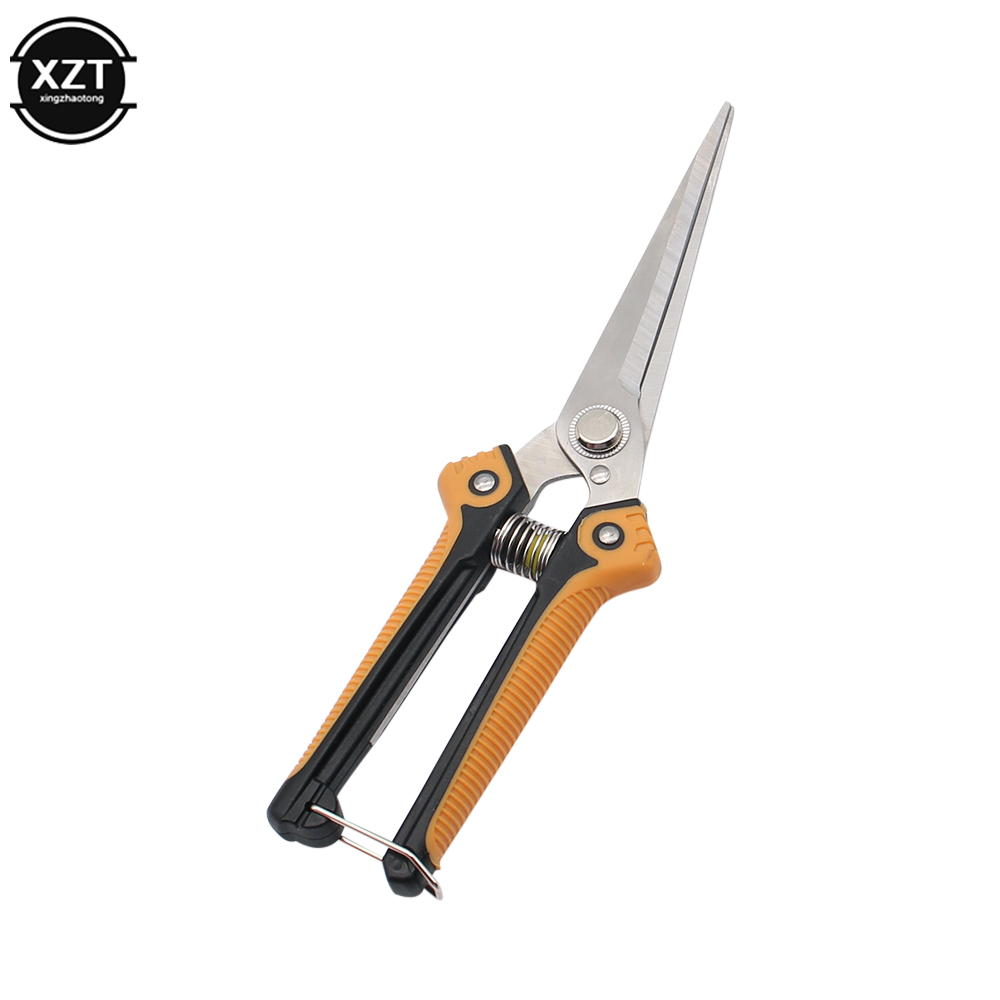Tijeras de podar profesionales - Gardening Tools For Women reseña y precio