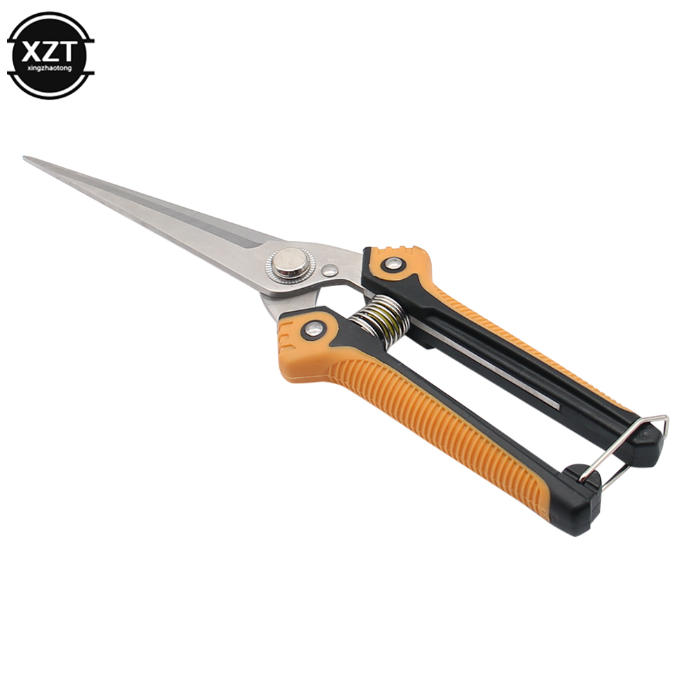 Tijeras de podar profesionales - Gardening Tools For Women reseña y precio