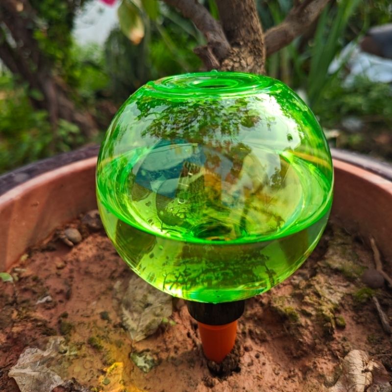 3 Globos de Riego Automático p - Self-Watering Planter reseña y precio