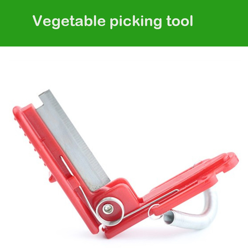 Separador de cuchillos, herram - Gardening Tools Youtube reseña y precio