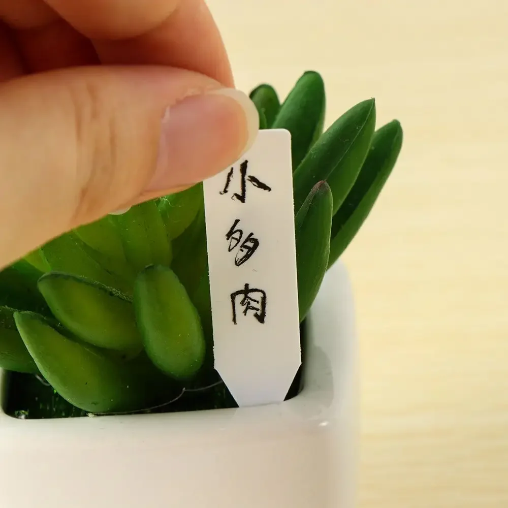100 Uds marcador de clasificac - Garden Label Marker reseña y precio