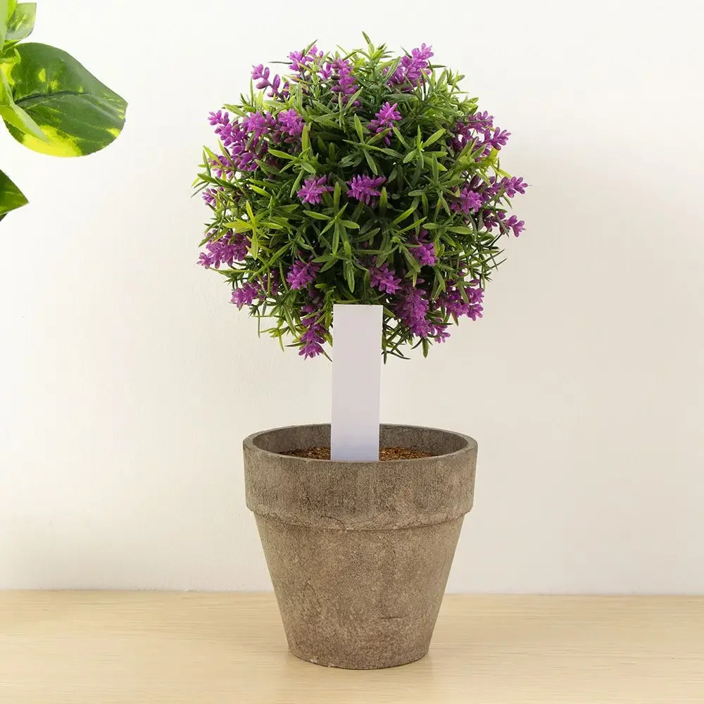 100 Uds marcador de clasificac - Garden Label Marker reseña y precio