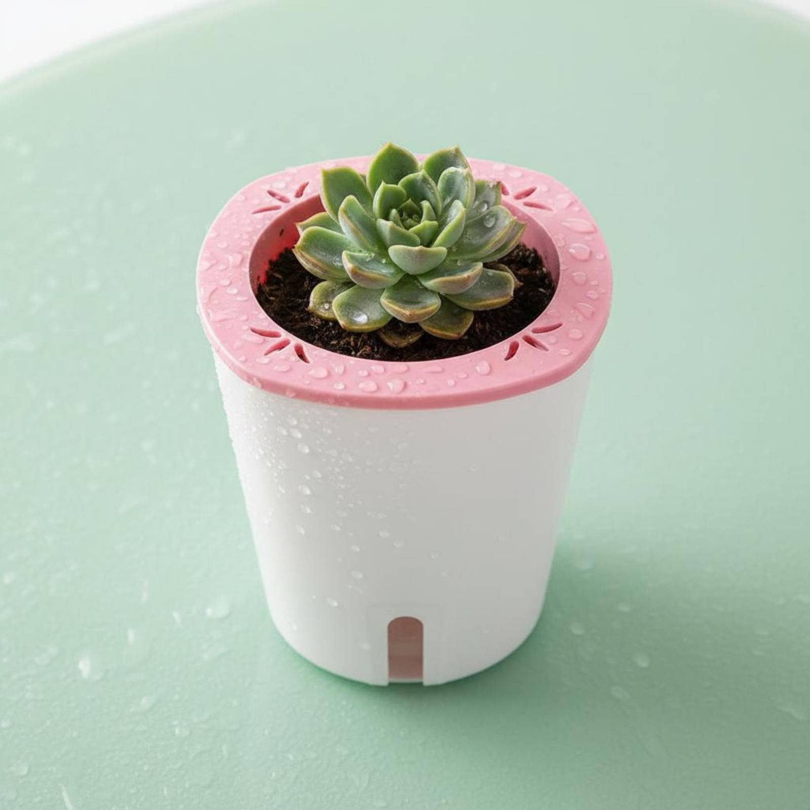 Maceta con Sistema de Autorrie - Self-Watering Planter reseña y precio