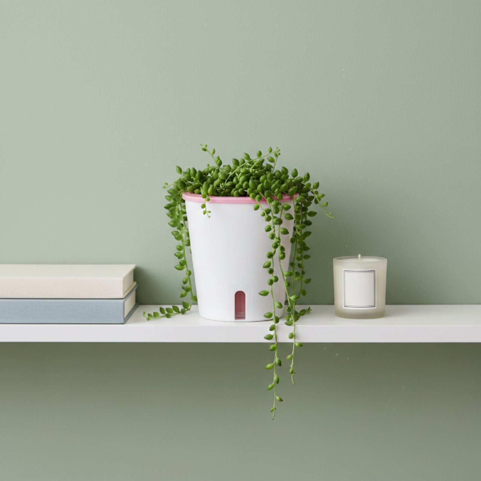 Maceta con Sistema de Autorrie - Self-Watering Planter reseña y precio