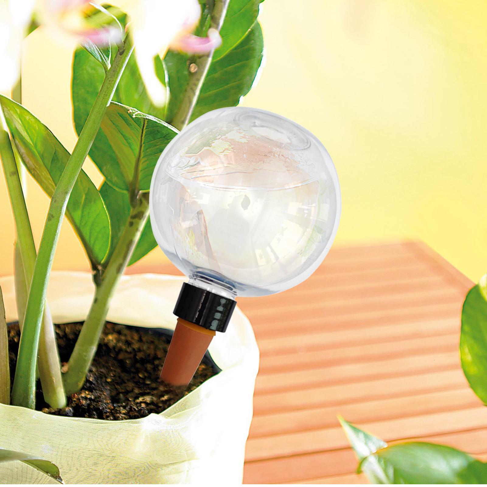 Bombillas de riego automático  - Self-Watering Planter reseña y precio