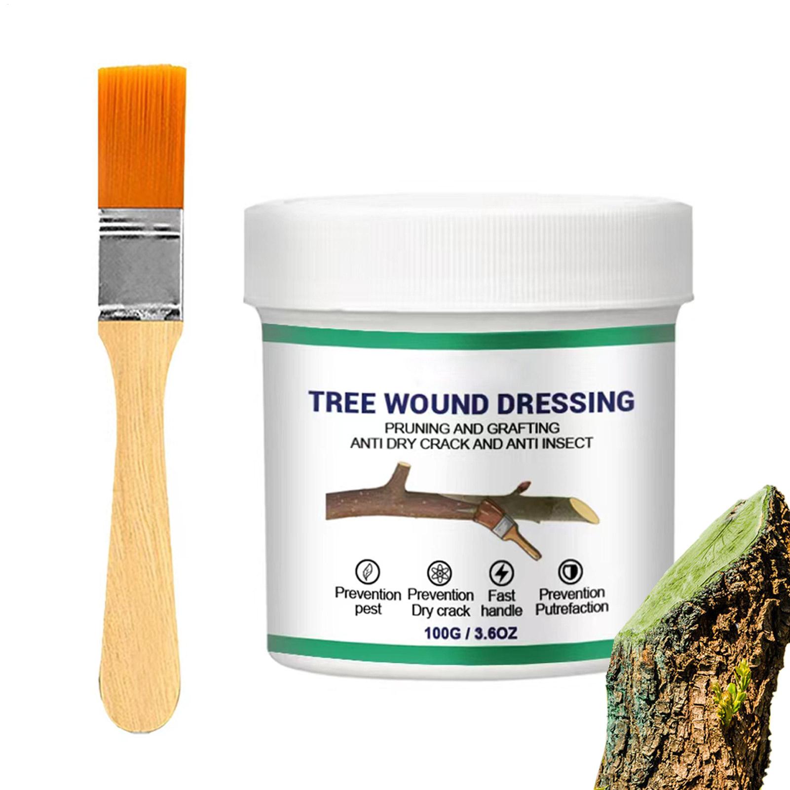 Pasta para injerto de árboles, - Gardening Tools For Women reseña y precio