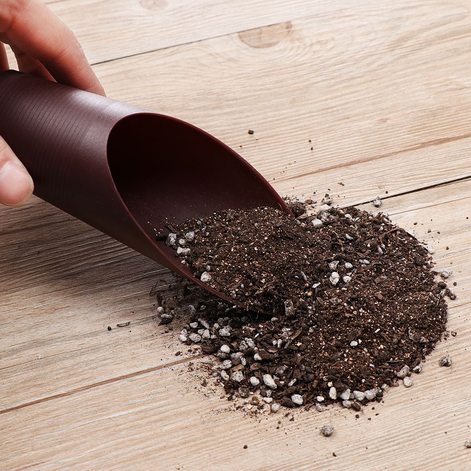 Pala de suelo de plástico para - Gardening Tools Equipment reseña y precio